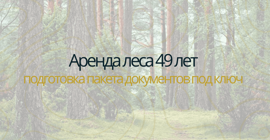 Аренда леса на 49 лет в Новосибирске