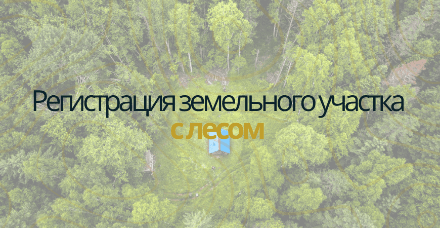 Земельный участок с лесом в Новосибирске